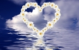 cuore di margherite sul mare