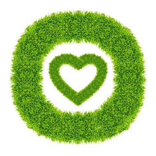 amore nel mezzo di un prato
