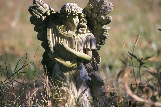 angelo