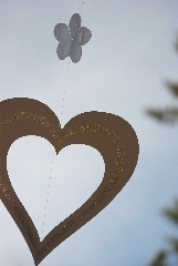 aquilone a cuore