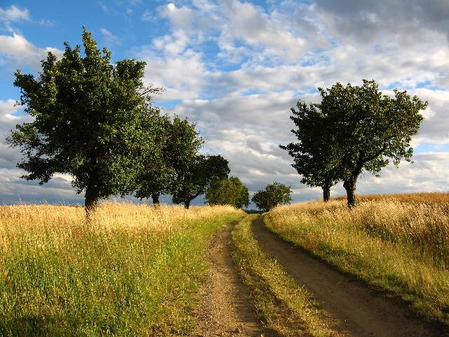 natura e armonia