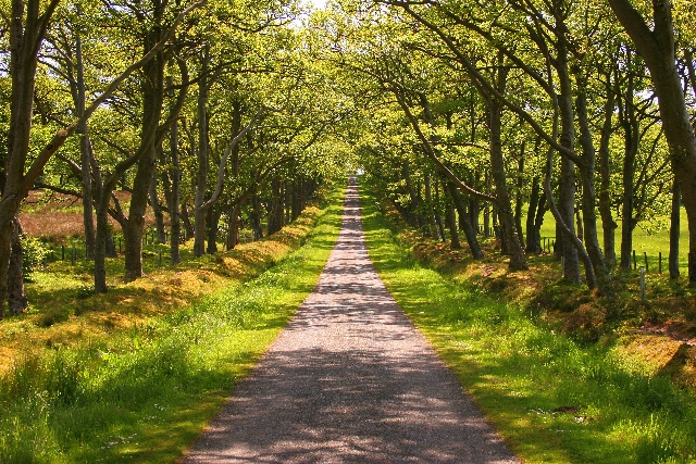 sentiero di pace e armonia