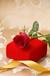 una rosa rossa per te