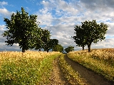 natura e armonia