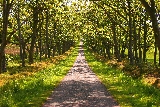 sentiero di pace e armonia