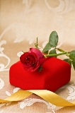 una rosa rossa per te